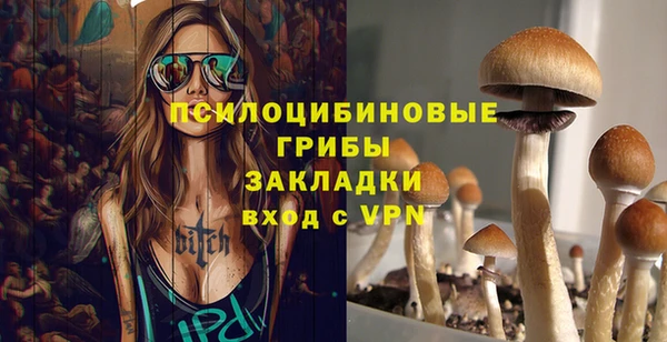 гидропоника Алзамай